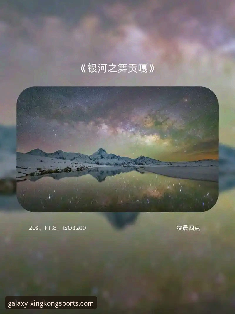星空体育平台操作教程：从官网选择到2026新版功能全解析